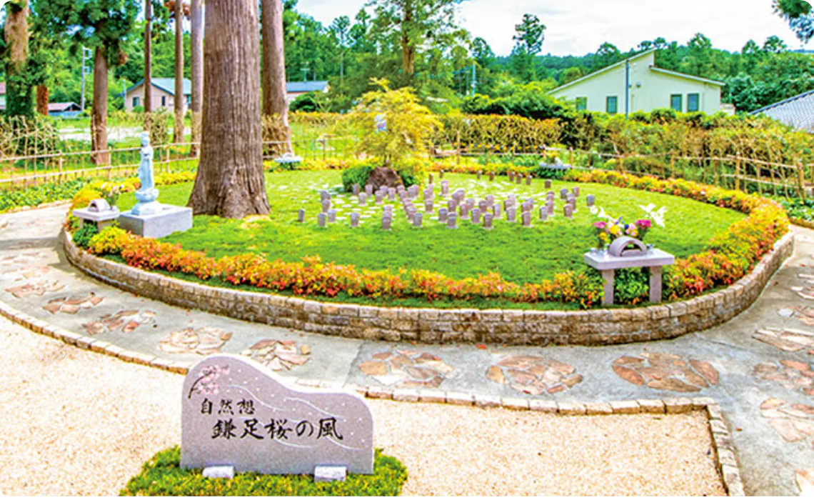 千葉県木更津市-高蔵寺-永代供養付樹木葬(自然葬墓地)「鎌足桜の風」