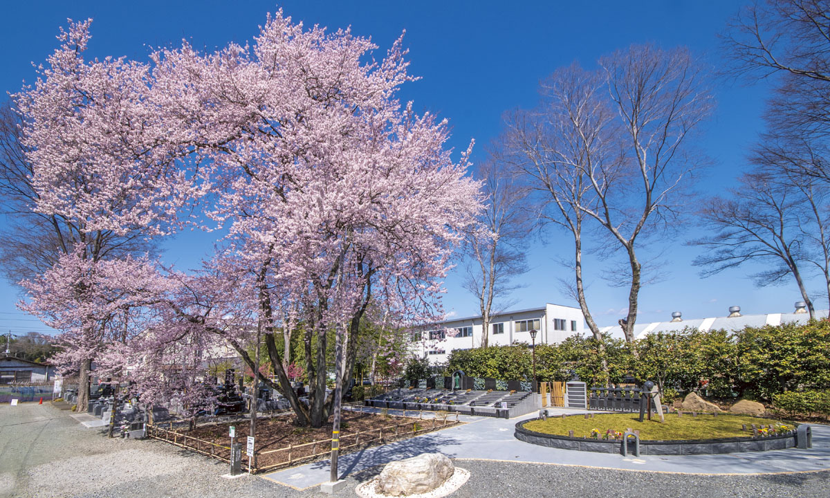 群馬県高崎市・天祐山仁叟寺（てんゆうざんじんそうじ）