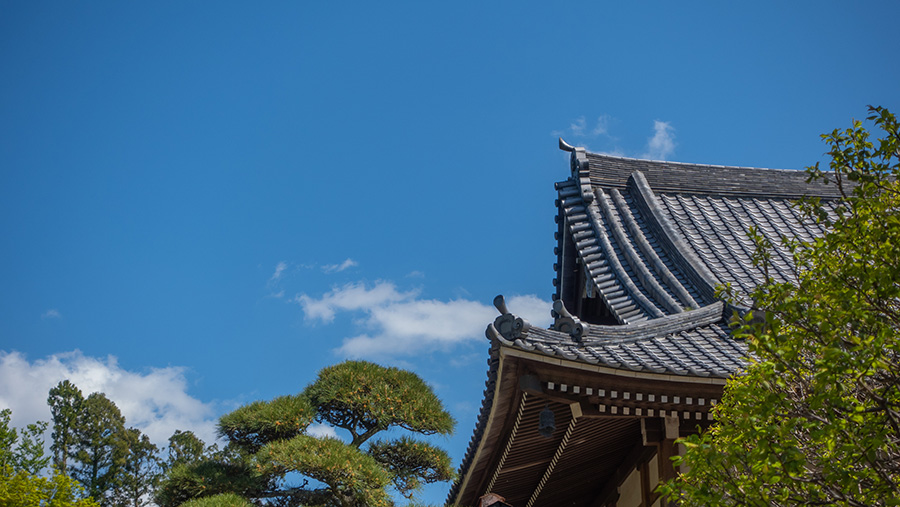 お寺の相続とは？流れや注意点、経営改善の方法まで解説