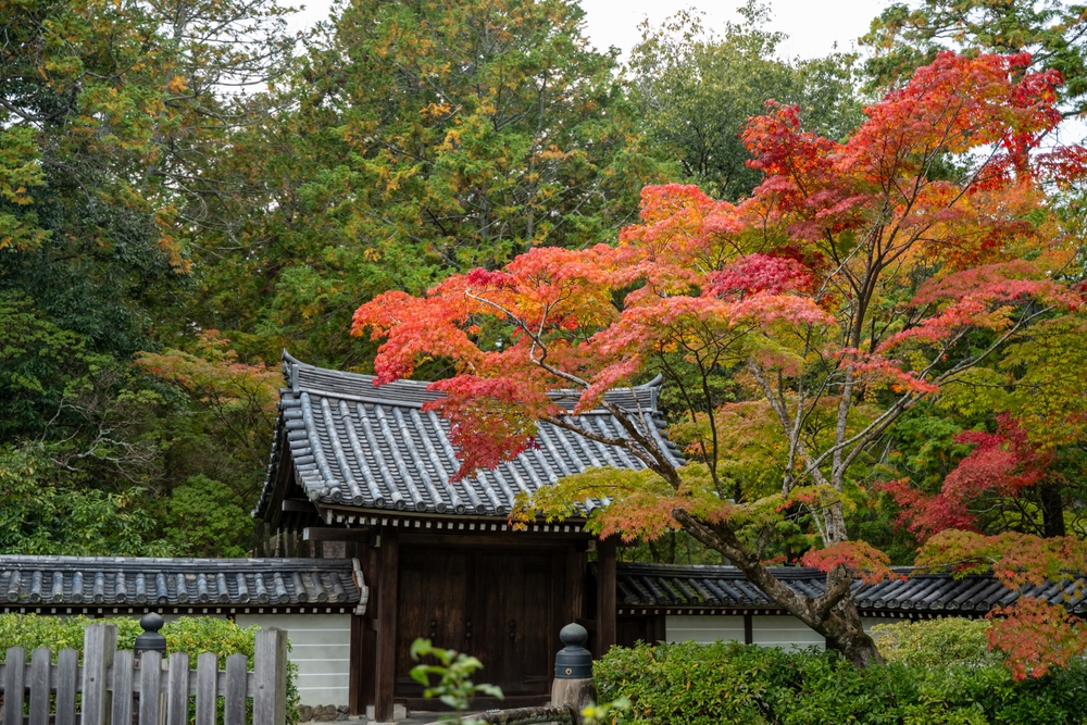 融資を受けやすい寺院の特徴