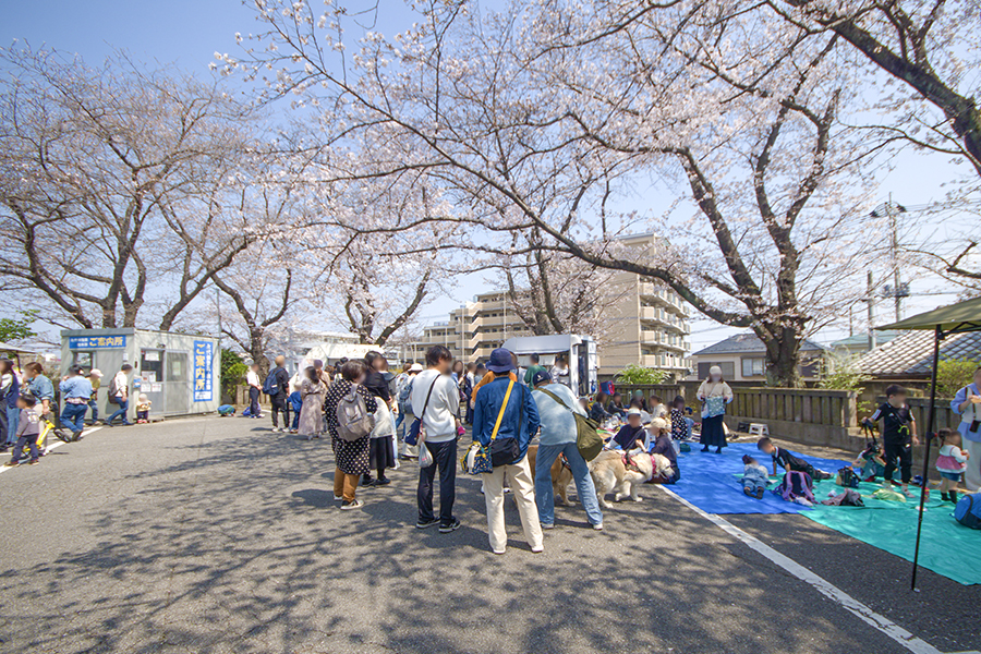 千葉県市川市・龍経山妙正寺（りゅうけいざんみょうしょうじ）