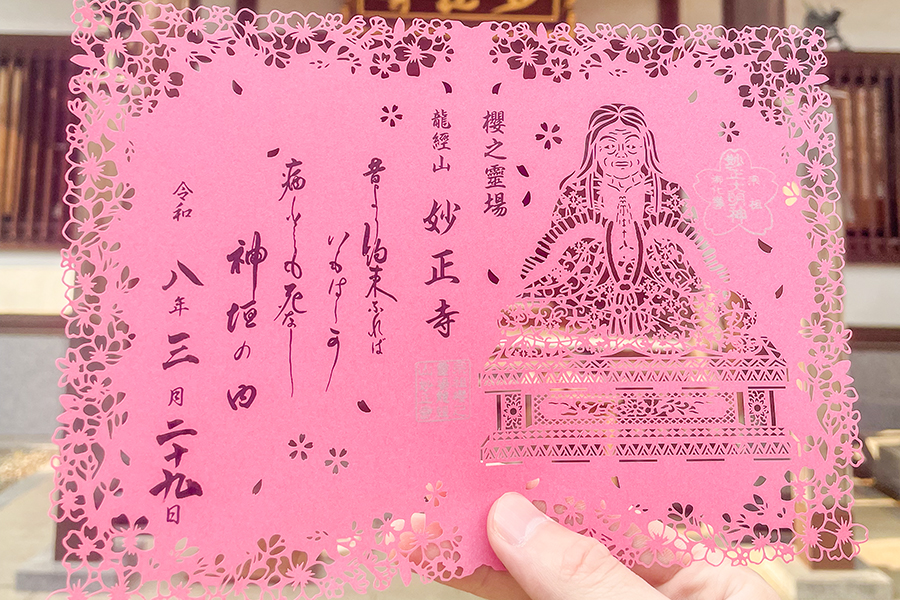 妙正寺_2026年さくら祭り